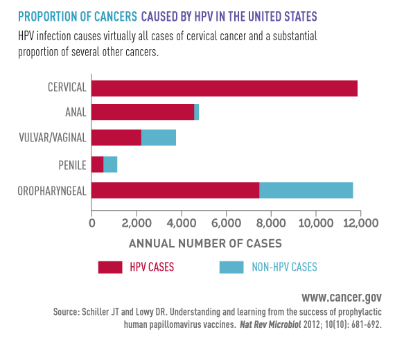 Infographics National Cancer Institute