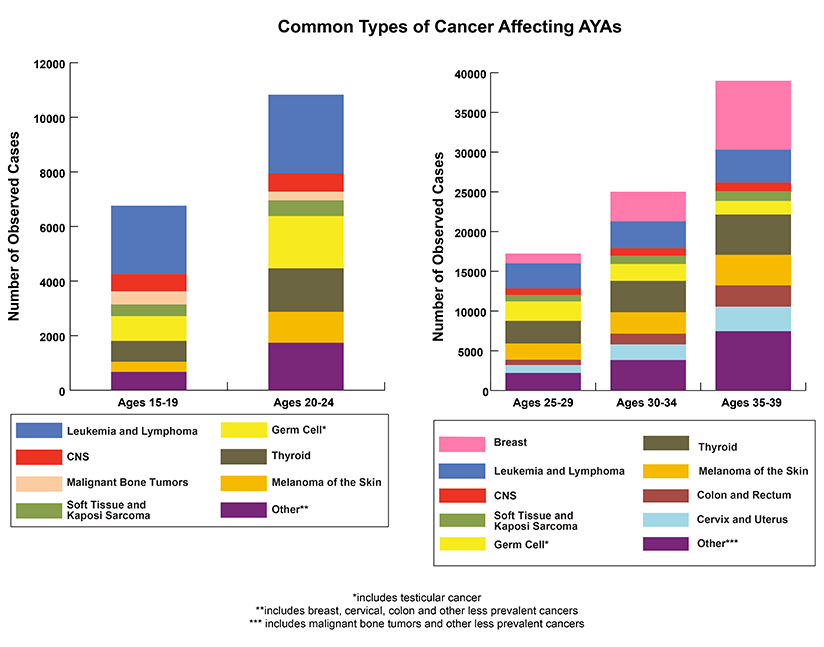 http://www.cancer.gov/PublishedContent/Images/images/snapshots/2014/english/2014_AYA_BAR_v6-side.png