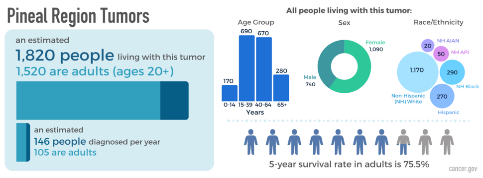 Infographic showing newly diagnosed cases, as well as prevalence by age, sex, and race. The five-year relative survival rate is also shown.
