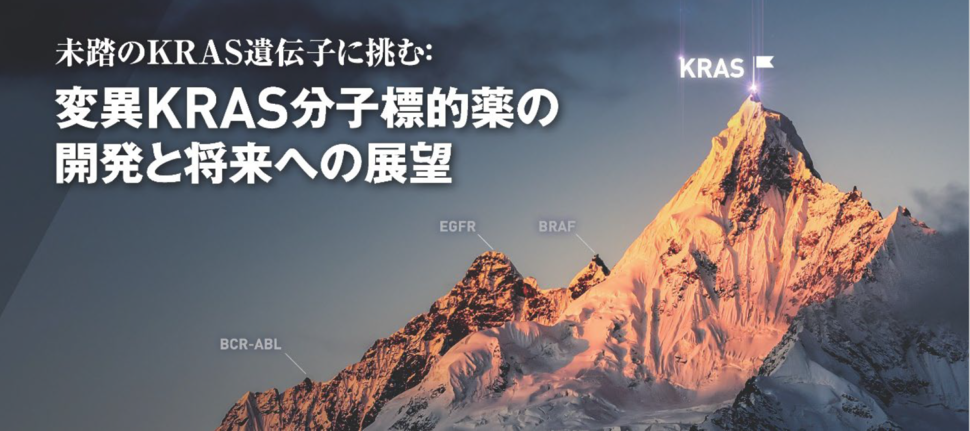 Image of a mountain with the word KRAS on a flag at the top