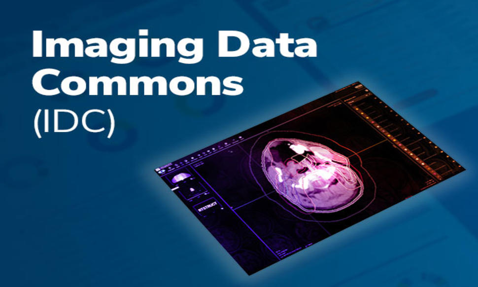Imaging Data Commons