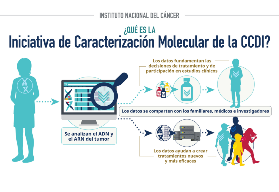Infografía sobre la Iniciativa de Caracterización Molecular de la CCDI
