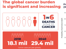 Cancer Statistics globally presented by Dr. Satish Gopal during LGCW 2020.