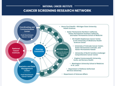 Graphic of the Cancer Screening Research Network
