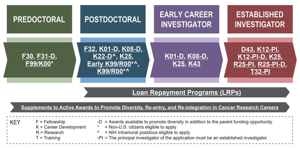 NCI Funding Opportunities for Cancer Training