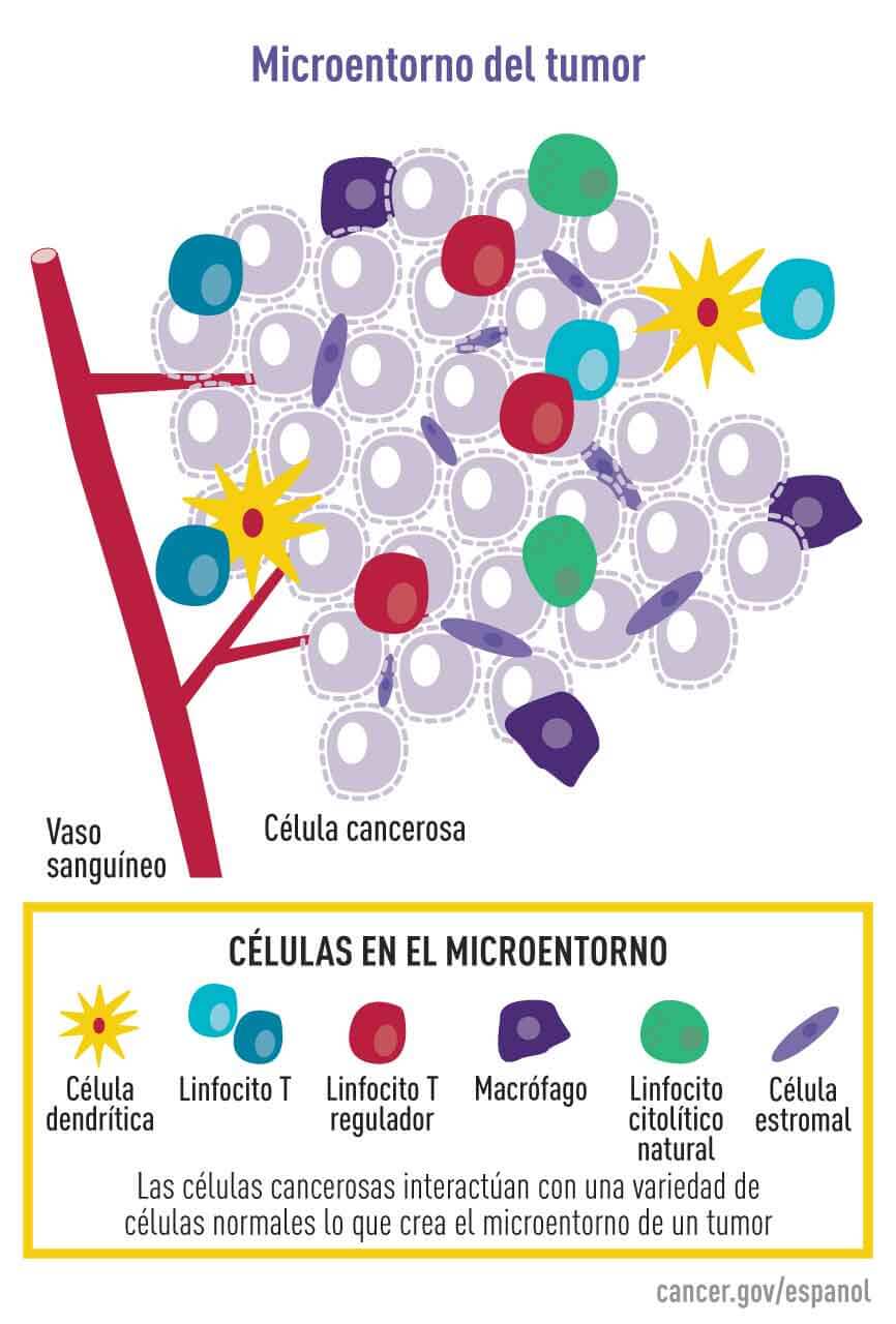 Microentorno del tumor