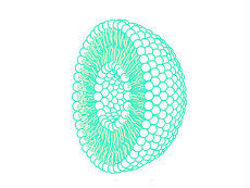 Cross section of a liposome