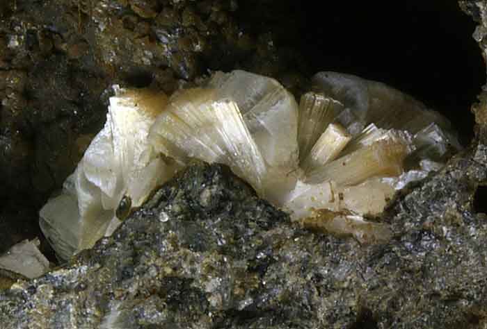 An erionite crystal