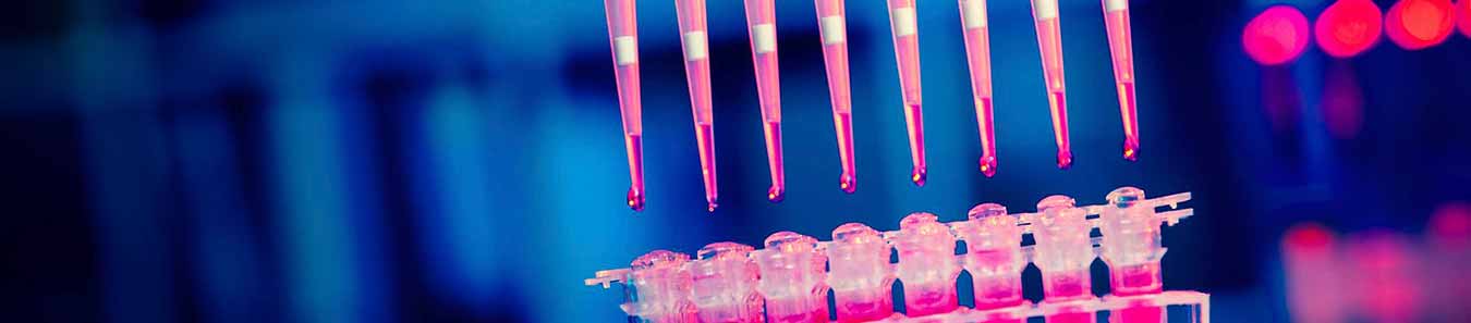 Pipetas que insertan fluido rosa en tubos de ensayo