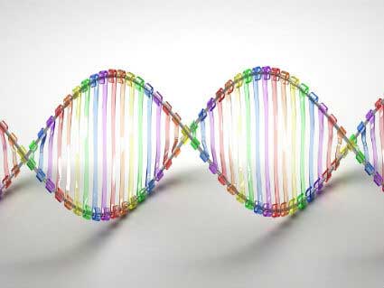 Illustration of DNA structure