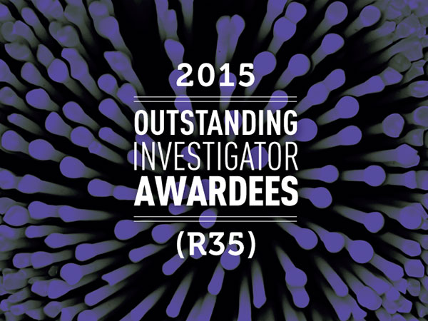 Banner with title "2015 Outstanding Investigator AwarDees (R35)"