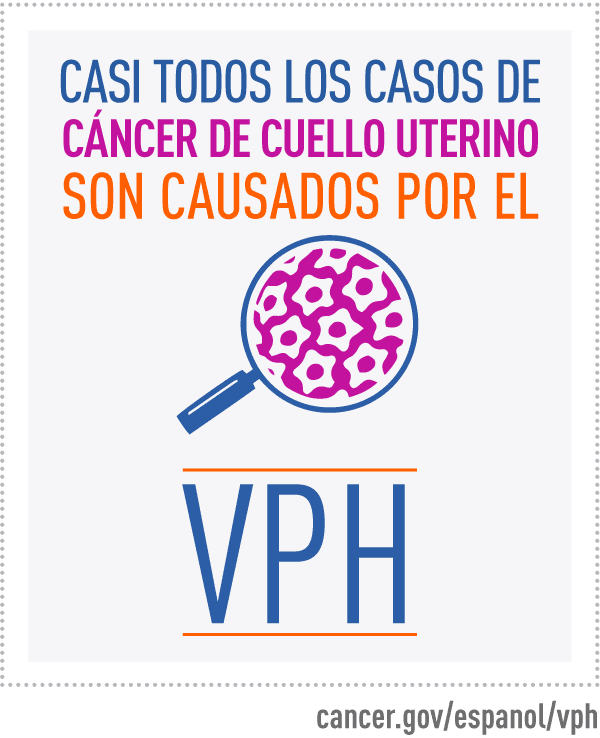 Virus papiloma humano cancer cuello uterino, Papiloma cancer de cuello