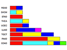 KRAS Q61 mutations found in different cancer types.
