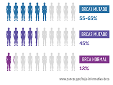 Determinación del riesgo de cáncer de seno: el descubrimiento de las mutaciones de los genes BRCA1 y BRCA2 mejoró las decisiones de exámenes de detección y de tratamiento para cánceres de seno y de ovario.
