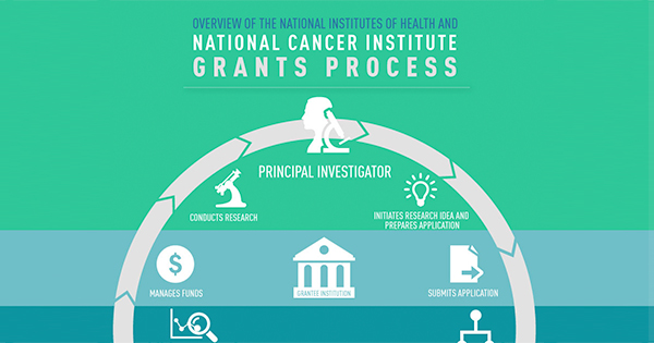 health services research grants
