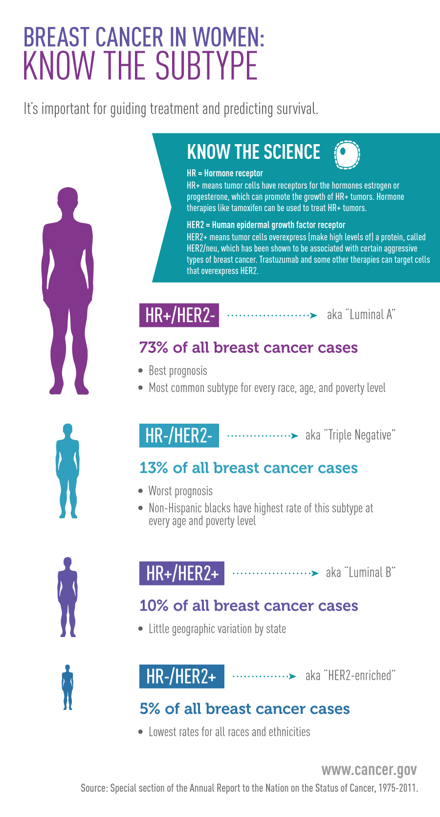 Breast Cancer In Woman: Know the Subtype Infographic