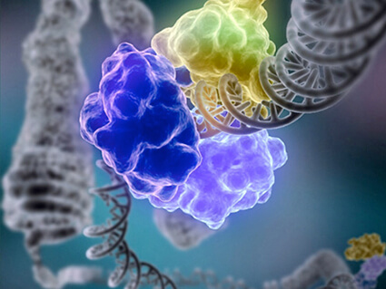 Illustration of an enzyme encircling a strand of DNA