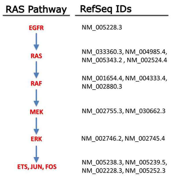 Lab discussion