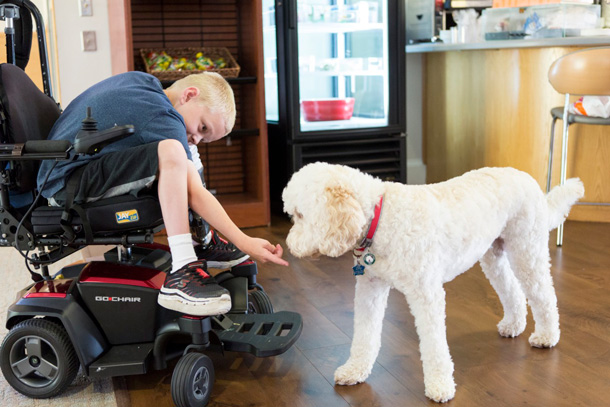 Travis Carpenter, quien recibió el fármaco selumetinib para tratar su NF1, con Zilly, un perro de terapia, en The Children’s Inn de los NIH.