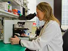 Una científica examina al microscopio en un laboratorio.