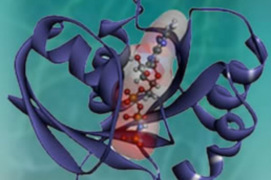 A color illustration of the KRAS protein, with blue helices wrapping around a core of balls and sticks