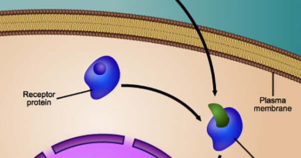 FDA Expands Approval of Fulvestrant for Breast Cancer - National Cancer ...