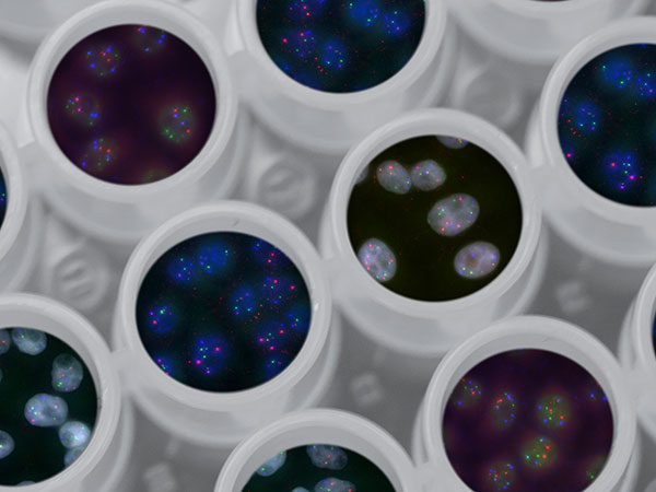 HIPMap accurately determines the position of a gene in the 3D space of the nucleus. In this illustration, images of genes (red, green and blue spots) are superimposed on images of multi-well plates.
