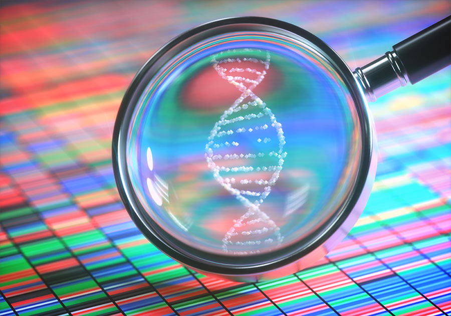 A DNA helix under a magnifying glass.