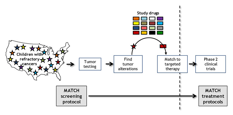 A schematic diagram of the Pediatric MATCH trial design shows that patients' tumors are screened for genetic alterations and then matched with targeted therapies in one of the trial's treatment arms.