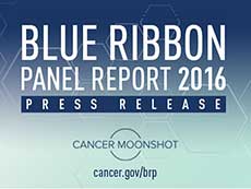 Blue Ribbon Panel Report 2016 Press Release