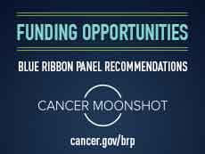 Funding Opportunities for the Blue Ribbon Panel Recommendations of the Cancer Moonshot 