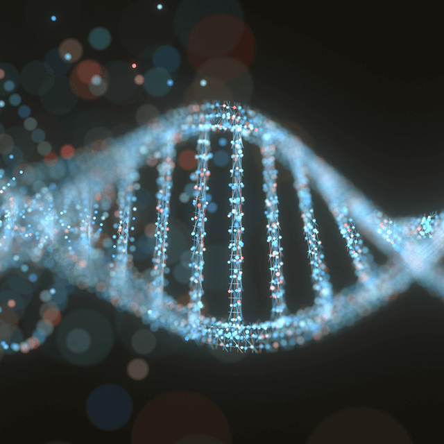 DNA double helix structure.