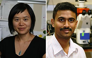 Tania Q. Vu, Ph.D. and Thomas Jacob, Ph.D.