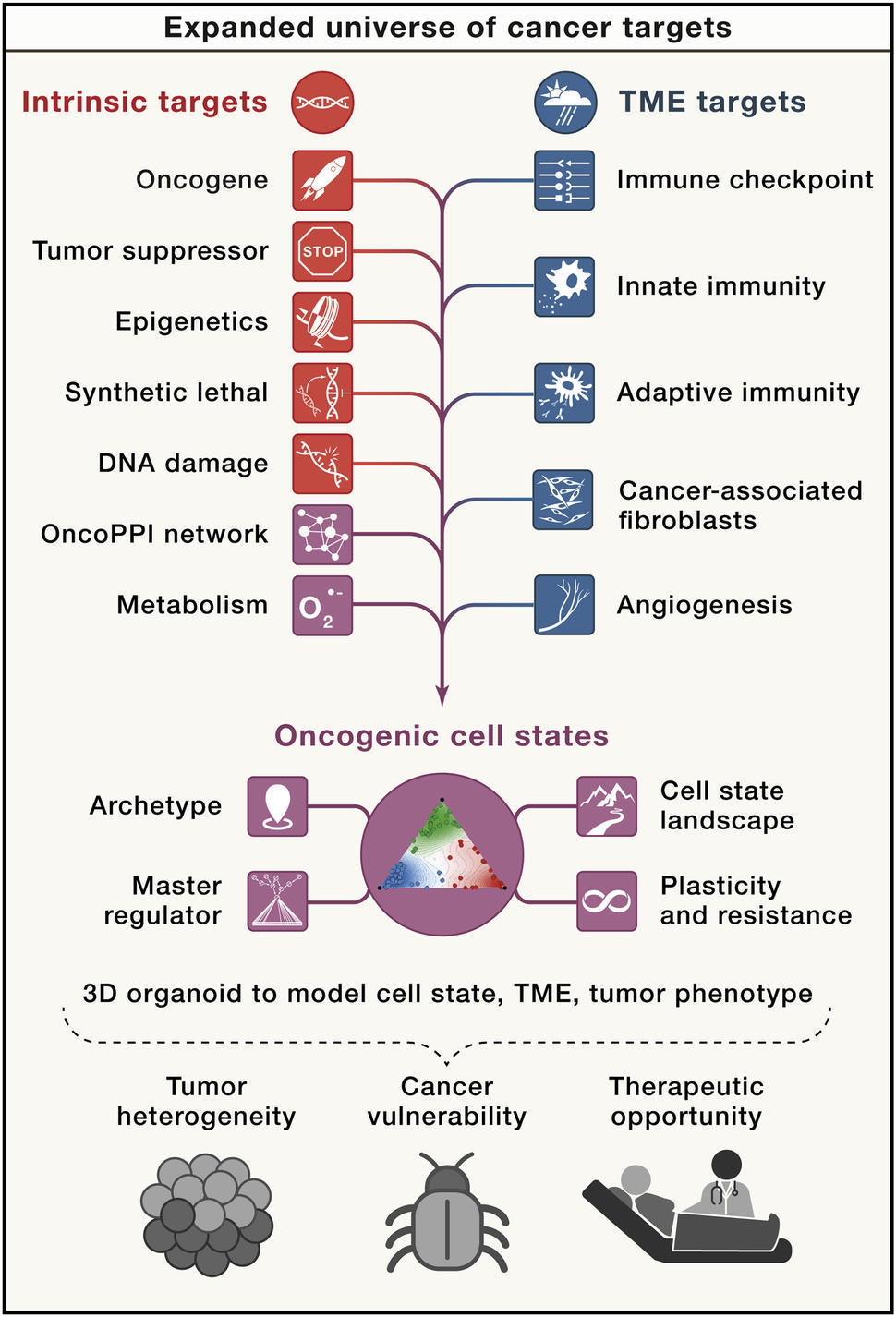 Diagram of an expanded "universe" of cancer targets with tumor intrinsic and extrinsic, and emerging targets represented.