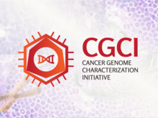 The Cancer Genome Characterization Initiative (CGCI)