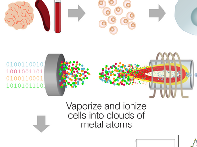An illustration of a mass cytometry workflow which may be used to inform cancer systems immunology