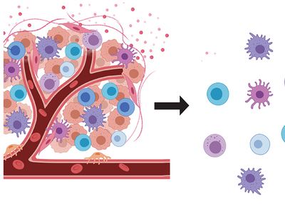 Schematic of a microfluidics-based single cell RNA-seq workflow