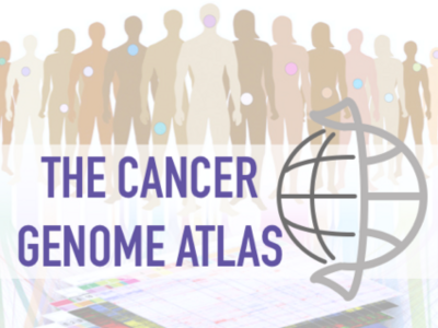 The Cancer Genome Atlas
