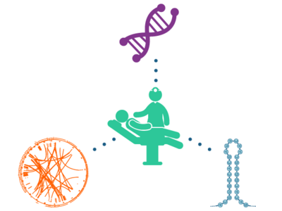 Diagram to demonstrate structural, computational, and functional genomics