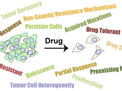 Drug Response Figure