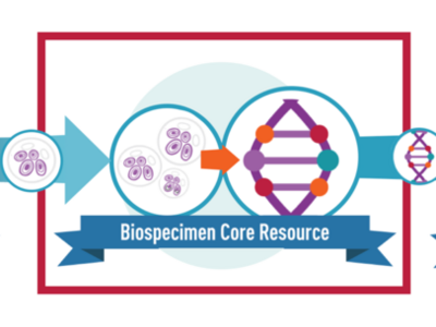 Illustration of the the Biospecimen Core Resource