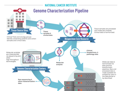 Infographic displaying the Genome Characterization Pipeline 