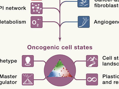 Diagram of an expanded "universe" of cancer targets with tumor intrinsic and extrinsic, and emerging targets represented.