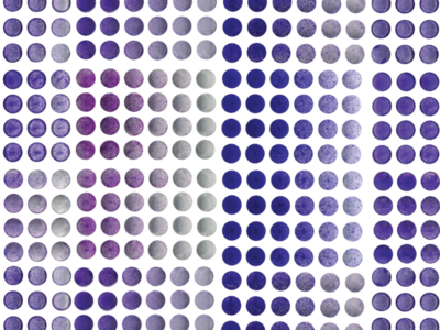 Image of cell growth assays performed on knockout cancer cell lines.