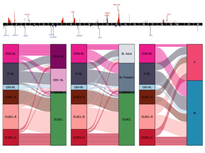 An analysis figure from a study of CGCI DLBCL samples.