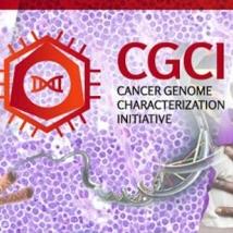 The Cancer Genome Characterization Initiative (CGCI) characterizes rare adult and pediatric cancers with cutting-edge molecular technologies.
