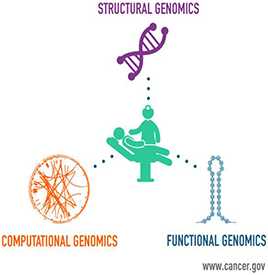 Structural, functional, and computational genomics lead to patient care