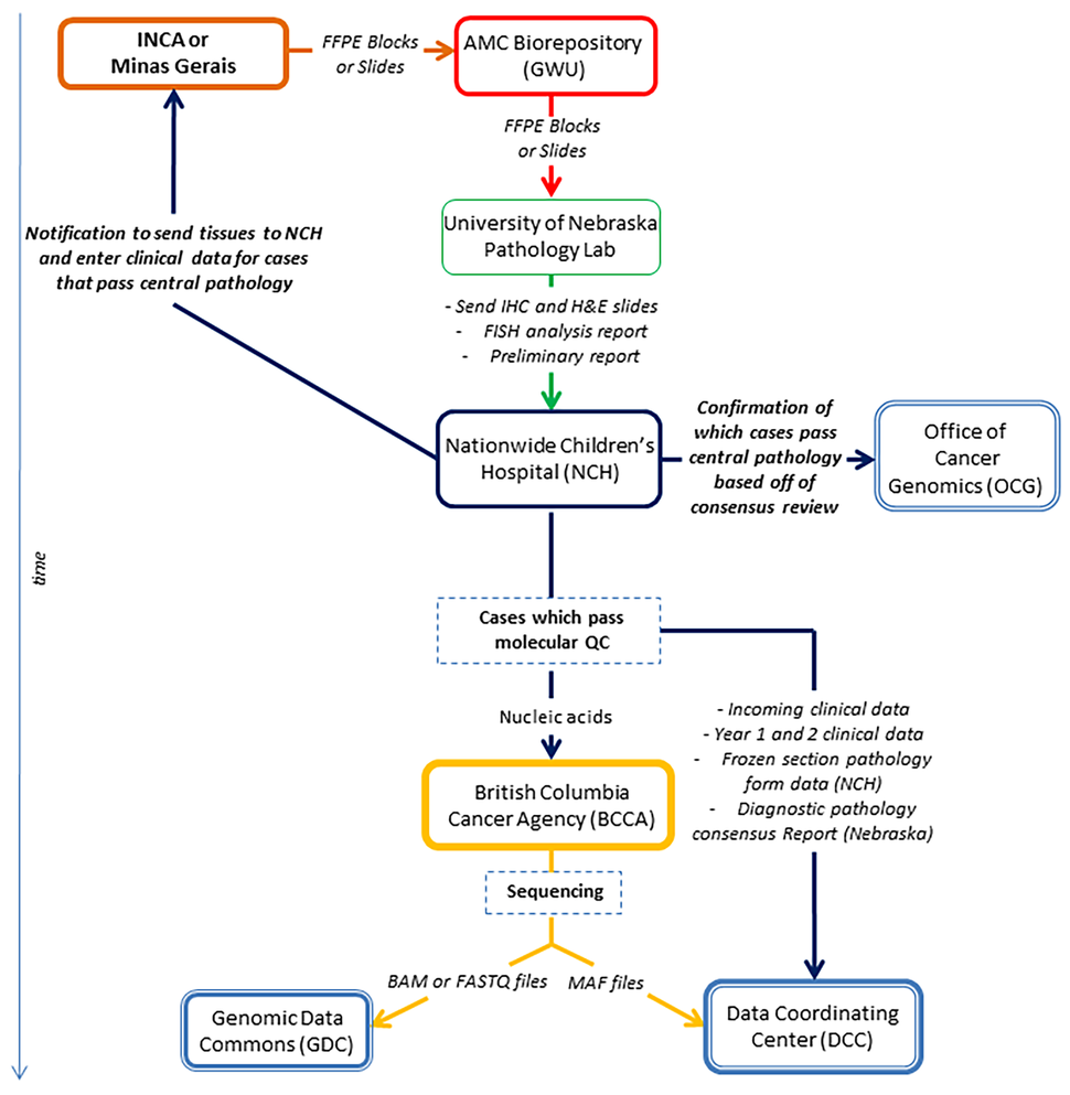 Outline of the Brazil BLGSP Flowchart.