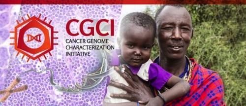 The Cancer Genome Characterization Initiative (CGCI) characterizes rare adult and pediatric cancers with cutting-edge molecular technologies.