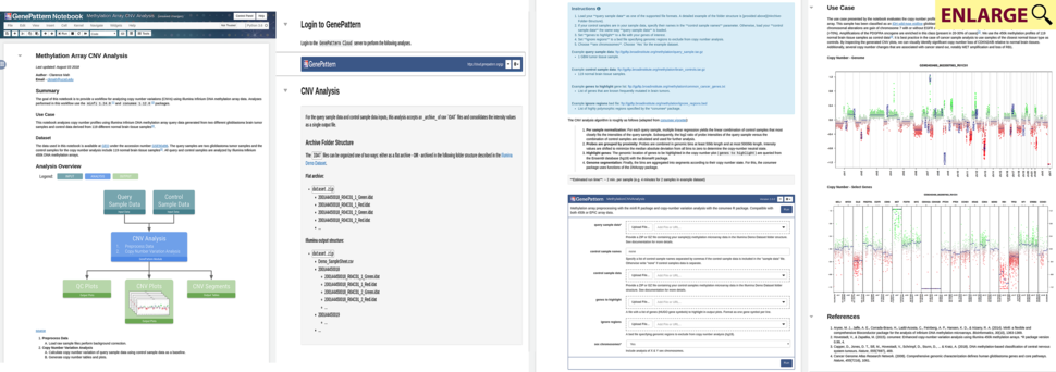 GenePattern Notebook for performing copy number variation analysis on Illumina 450k/EPIC methylation array data.